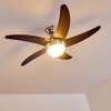 Ceiling Fan Morino brown, matt nickel, 2-light sources, Remote control