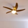 Ceiling Fan Morino brown, matt nickel, 2-light sources, Remote control