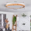 Menthonnex Ceiling Light LED white, 1-light source, Remote control