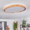 Menthonnex Ceiling Light LED white, 1-light source, Remote control