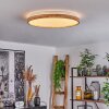 Menthonnex Ceiling Light LED white, 1-light source, Remote control