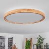 Menthonnex Ceiling Light LED white, 1-light source, Remote control