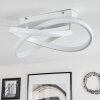 Cochato Ceiling Light LED white, 1-light source