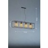 Fischer & Honsel Caydo Pendant Light black, 4-light sources