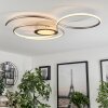 Olok Ceiling Light LED silver, white, 1-light source, Remote control