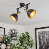 Borik Ceiling Light black, 2-light sources