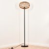 Manteau Floor Lamp black, 1-light source