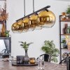 Koyoto Pendant Light glass 20 cm gold, clear, 5-light sources