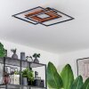 Panqueua Ceiling Light LED brown, black, 1-light source, Remote control