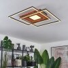 Panqueua Ceiling Light LED brown, black, 1-light source, Remote control