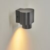 Guampacha Outdoor Wall Light anthracite, 1-light source