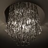 Leuchten Direkt Sanguin Ceiling Light chrome