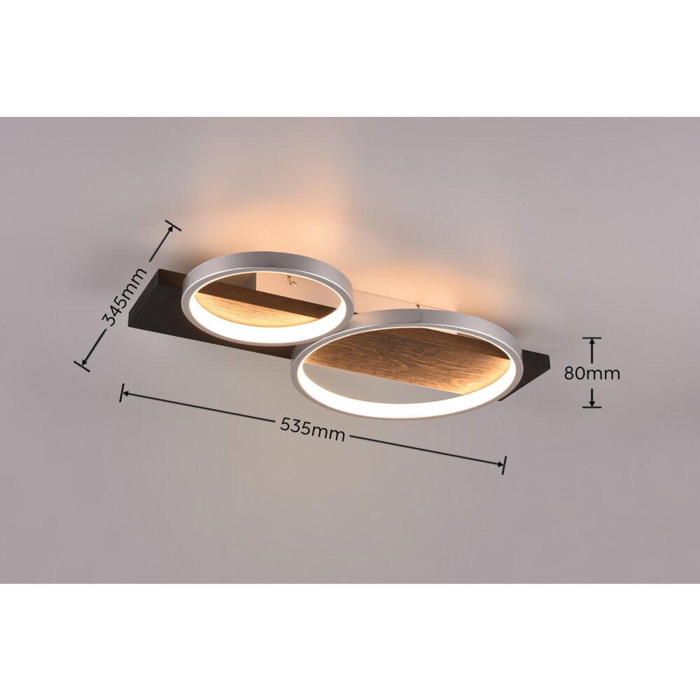 Trio MEDERA Ceiling Light LED black, titanium, 1-light source