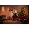 Philips HUE FESTAVIA rope lights LED black, 250-light sources, Colour changer