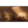 Philips HUE FESTAVIA rope lights LED black, 250-light sources, Colour changer