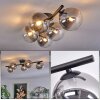 CHEHALIS Ceiling Light clear, Smoke-coloured, 5-light sources