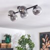 CHEHALIS Ceiling Light clear, Smoke-coloured, 5-light sources