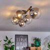 CHEHALIS Ceiling Light clear, Smoke-coloured, 5-light sources