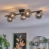 CHEHALIS Ceiling Light clear, Smoke-coloured, 5-light sources