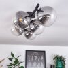 CHEHALIS Ceiling Light clear, Smoke-coloured, 5-light sources