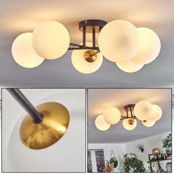 CHEHALIS Ceiling Light gold, black, 6-light sources