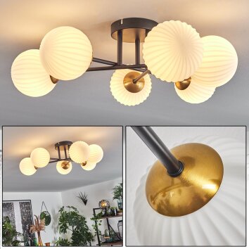 CHEHALIS Ceiling Light gold, black, 6-light sources