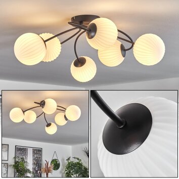 CHEHALIS Ceiling Light white, 6-light sources