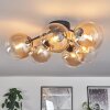 CHEHALIS Ceiling Light Amber, clear, 6-light sources