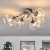 CHEHALIS Ceiling Light clear, 6-light sources