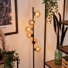 REMAISNIL Floor Lamp - glass black, 6-light sources