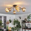 CHEHALIS Ceiling Light - glass gold, black, 6-light sources