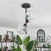 CHEHALIS Ceiling Light - glass clear, 4-light sources