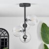 CHEHALIS Ceiling Light - glass clear, 4-light sources