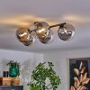 CHEHALIS Ceiling Light - glass clear, Smoke-coloured, 4-light sources