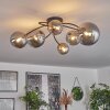 CHEHALIS Ceiling Light - glass gold, black, 6-light sources