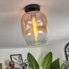 APEDO Ceiling Light - glass Amber, clear, 1-light source