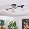 CHEHALIS Ceiling Light - glass clear, 4-light sources