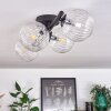 CHEHALIS Ceiling Light - glass clear, 4-light sources