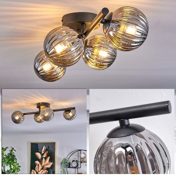 CHEHALIS Ceiling Light - glass Smoke-coloured, 4-light sources