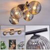 CHEHALIS Ceiling Light - glass Smoke-coloured, 4-light sources