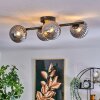 CHEHALIS Ceiling Light - glass Smoke-coloured, 4-light sources