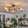 CHEHALIS Ceiling Light - glass gold, black, 6-light sources