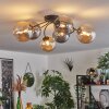 CHEHALIS Ceiling Light - glass Amber, Smoke-coloured, 6-light sources