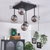 CHEHALIS Ceiling Light - glass Smoke-coloured, 5-light sources