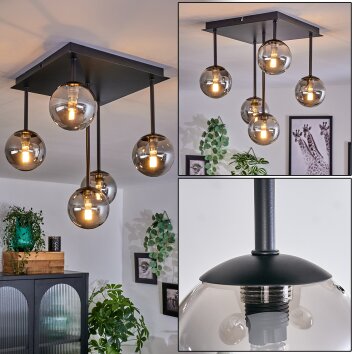 CHEHALIS Ceiling Light - glass Smoke-coloured, 5-light sources