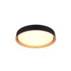 Reality FELIS Ceiling Light LED black-gold, 1-light source, Remote control