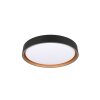 Reality FELIS Ceiling Light LED black-gold, 1-light source, Remote control