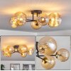 Chehalis Ceiling Light - glass 12 cm, 15 cm gold, black, 6-light sources