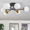 Chehalis Ceiling Light - glass 10 cm gold, black, 6-light sources