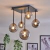 Chehalis Ceiling Light - glass 10 cm, 12 cm, 15 cm gold, black, 5-light sources